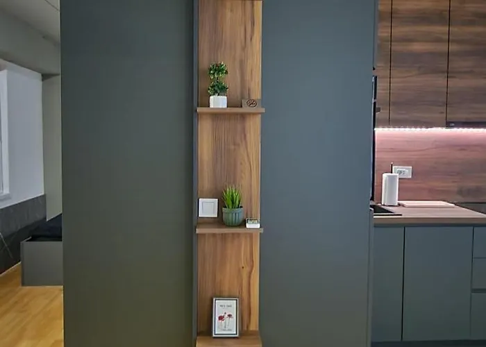 Apartman Luxury Iva Vi *